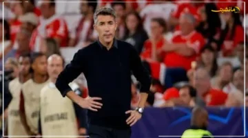 بديل كولر المحتمل.. برونو لاج يغير وجهته إلى السد القطري في تطور مفاجئ 1